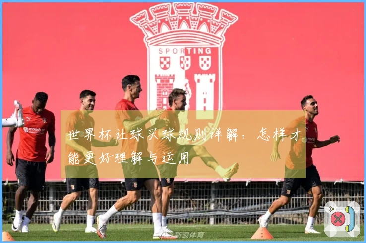 世界杯让球买球规则详解，怎样才能更好理解与运用