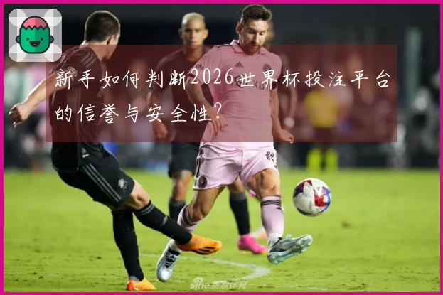 新手如何判断2026世界杯投注平台的信誉与安全性？