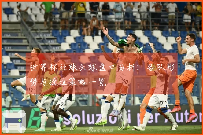 世界杯让球买球盘口分析：各队形势与投注策略一览