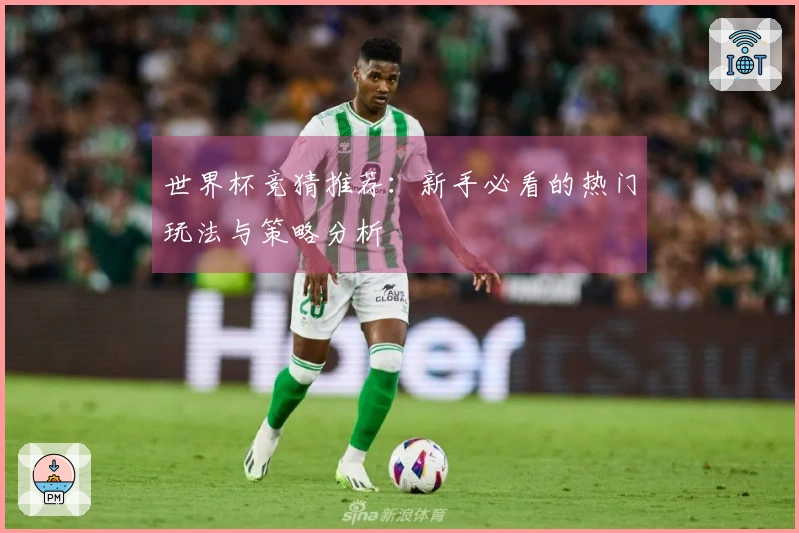 世界杯竞猜推荐：新手必看的热门玩法与策略分析