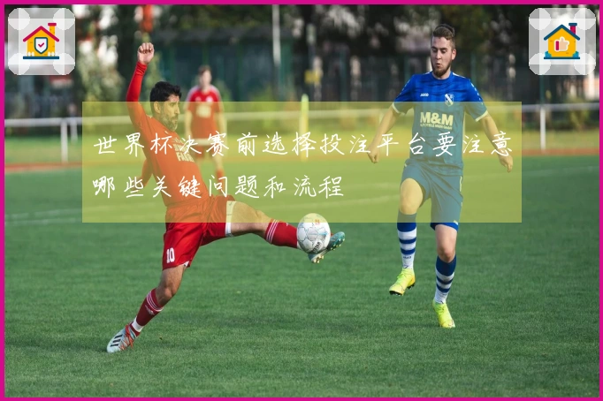 世界杯决赛前选择投注平台要注意哪些关键问题和流程