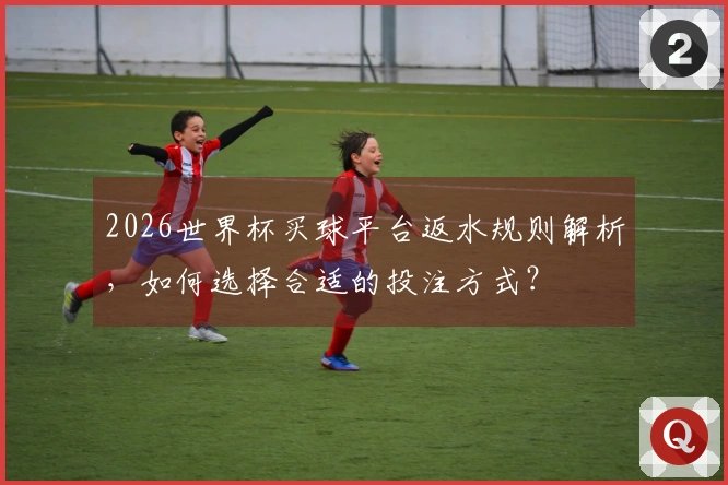 2026世界杯买球平台返水规则解析,如何选择合适的投注方式?