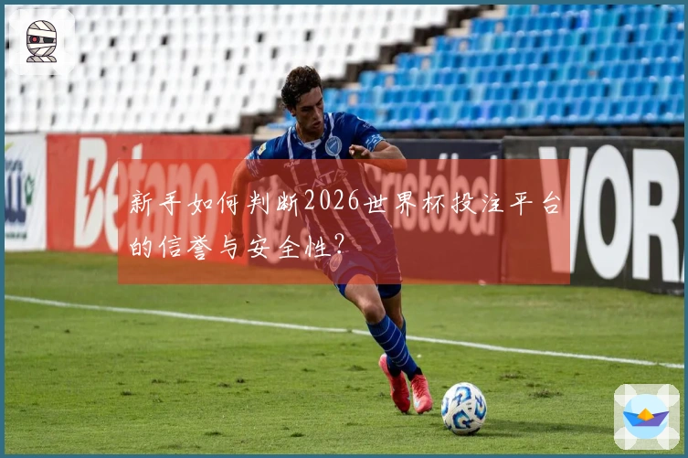 新手如何判断2026世界杯投注平台的信誉与安全性？